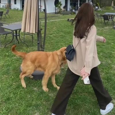 我推成为了上司第二季